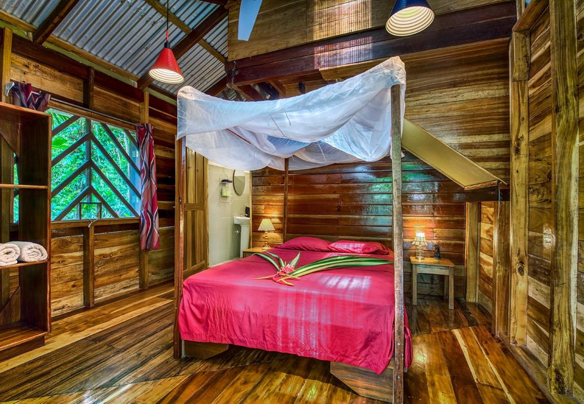 Congo Bongo EcoVillage Costa Rica - Housity