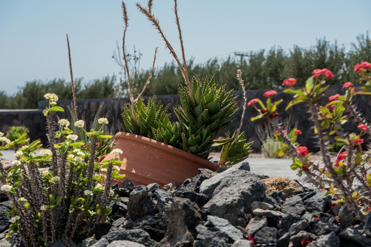 George Farm Land - Housity