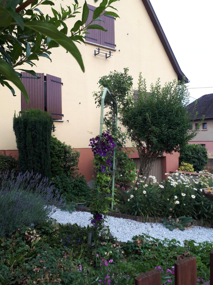 Le chouette gîte - Housity