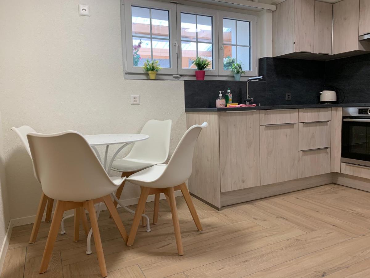 Eiger, Jungfrau, luxury garden apartment - Housity