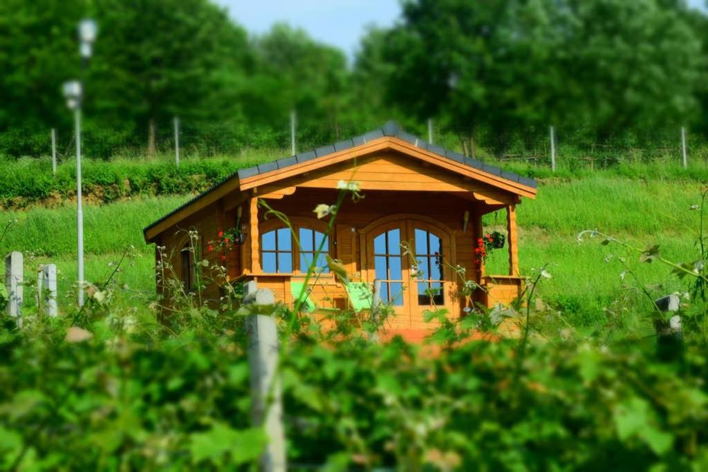Domek na Winnicy - Housity
