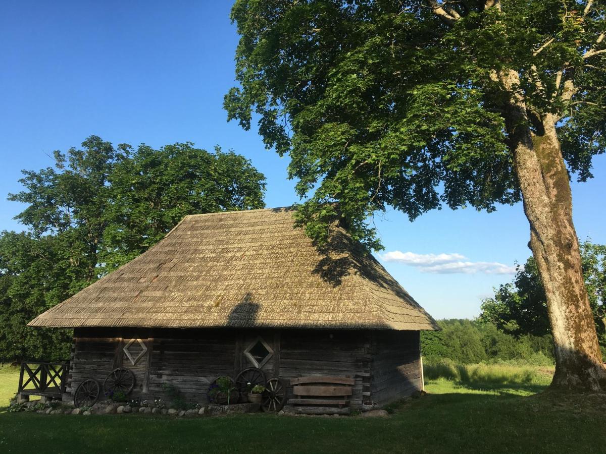 Sodyba BIČIULIŲ NAMAI - Housity