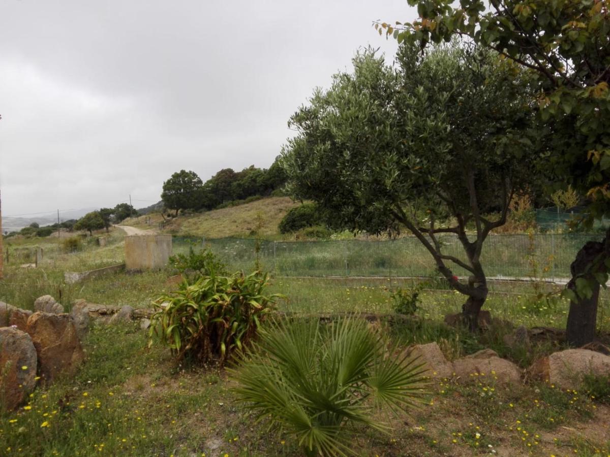 Trilocale indipendente - Housity