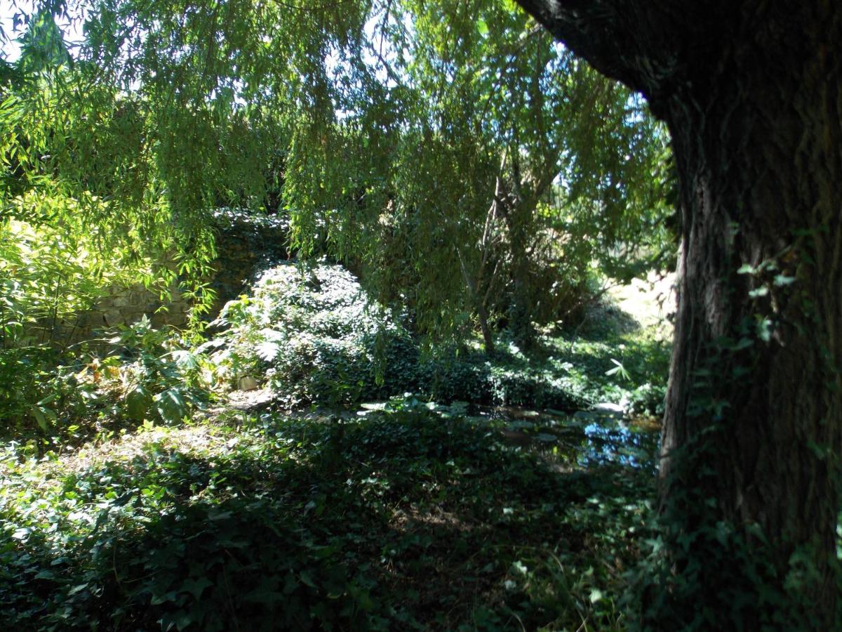 GITE VOLUBILIS BLEU - Housity