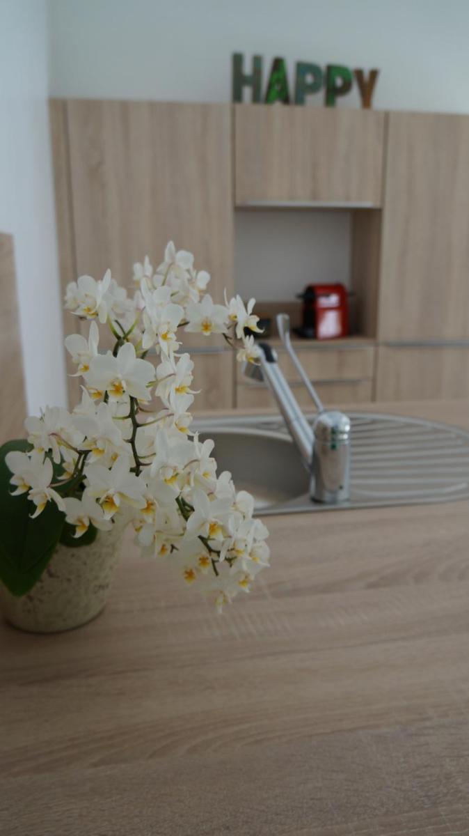 Les palmiers - Vacation Home - Housity