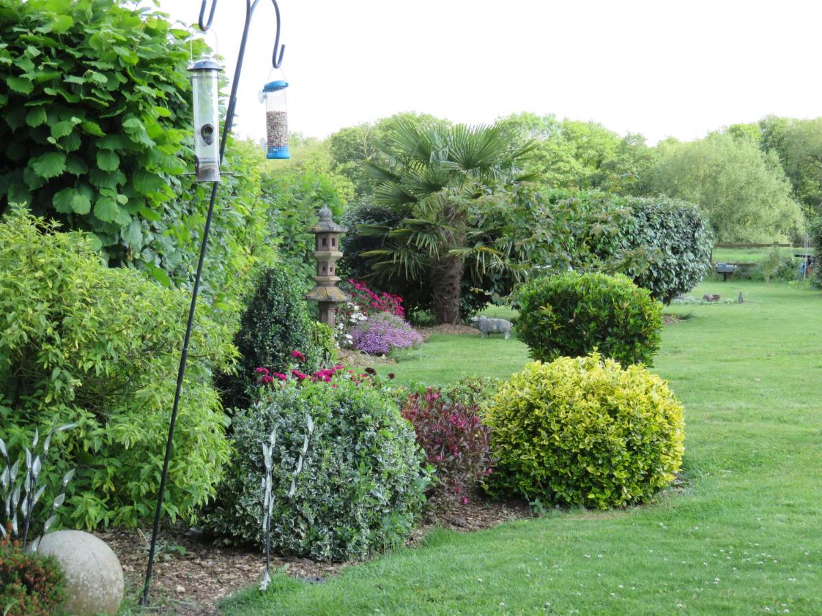 Acer Lodge Bed & Breakfast - Housity