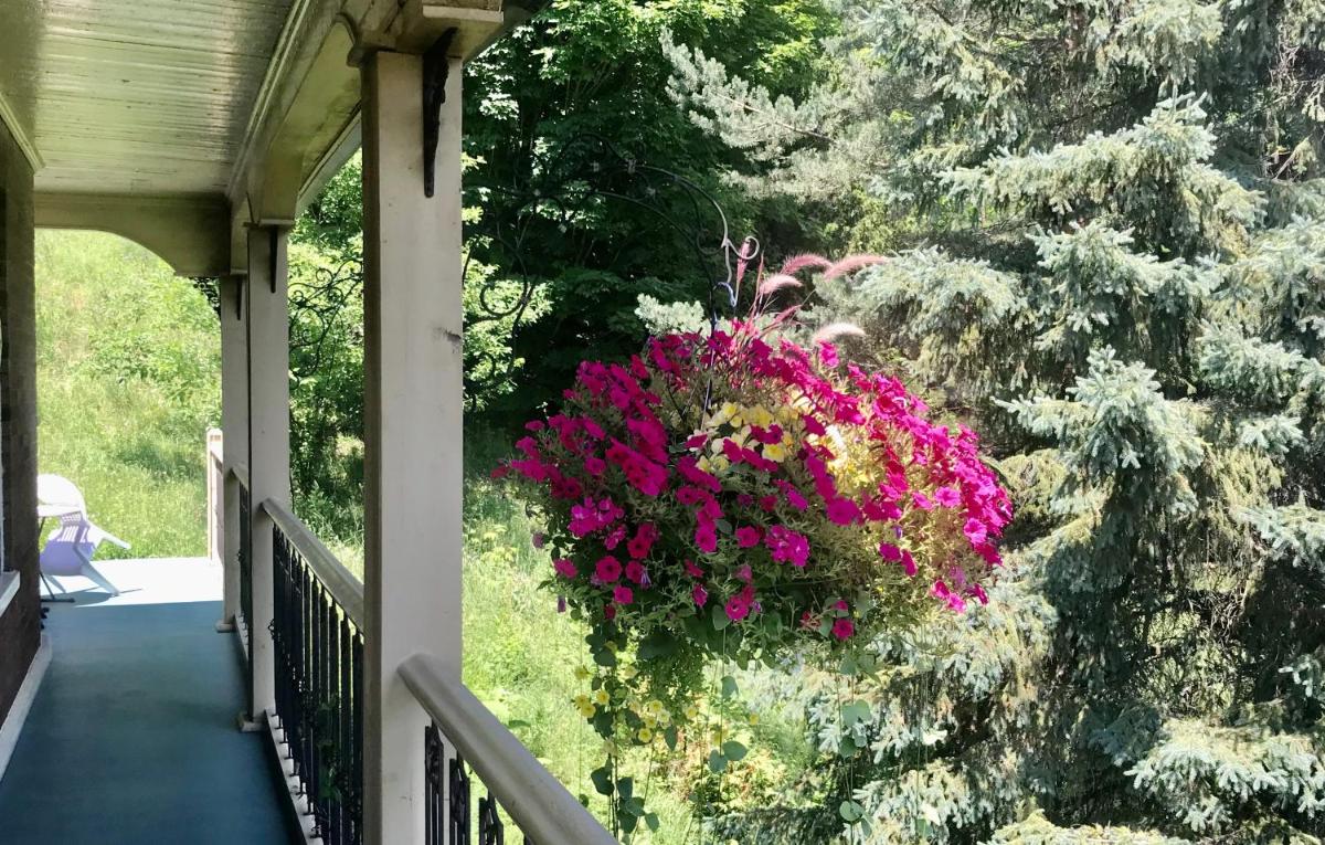 Petite Maison dans la Prairie - Housity