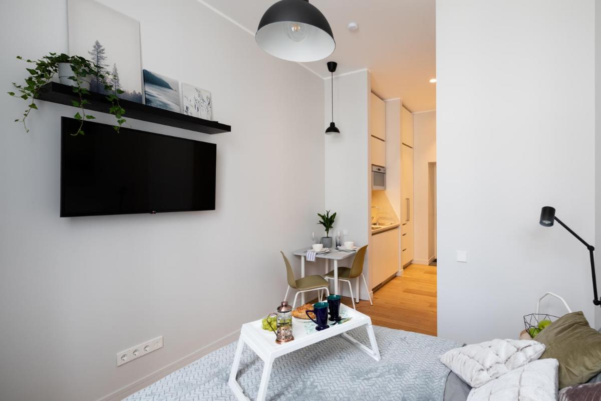 Modern Design Studio Apartment In Riga Center - Housity