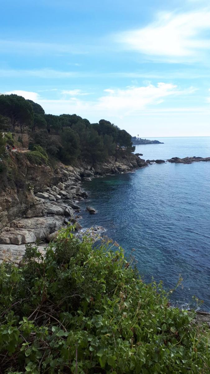 Rosas-Puig Rom -VISTA MAR - Housity