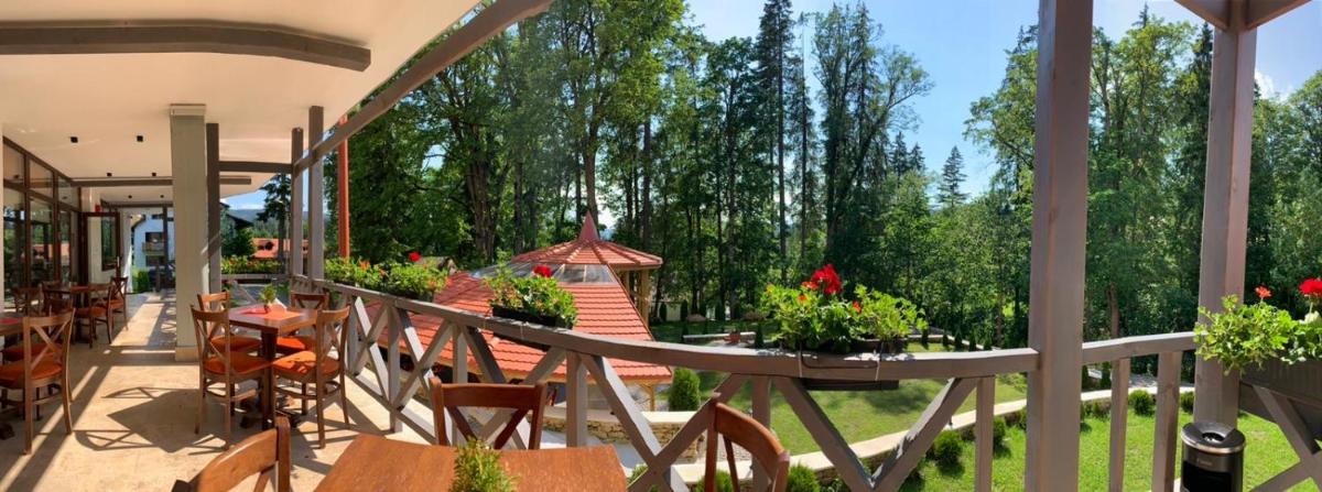 Pensiunea Favorit Ferice - Housity