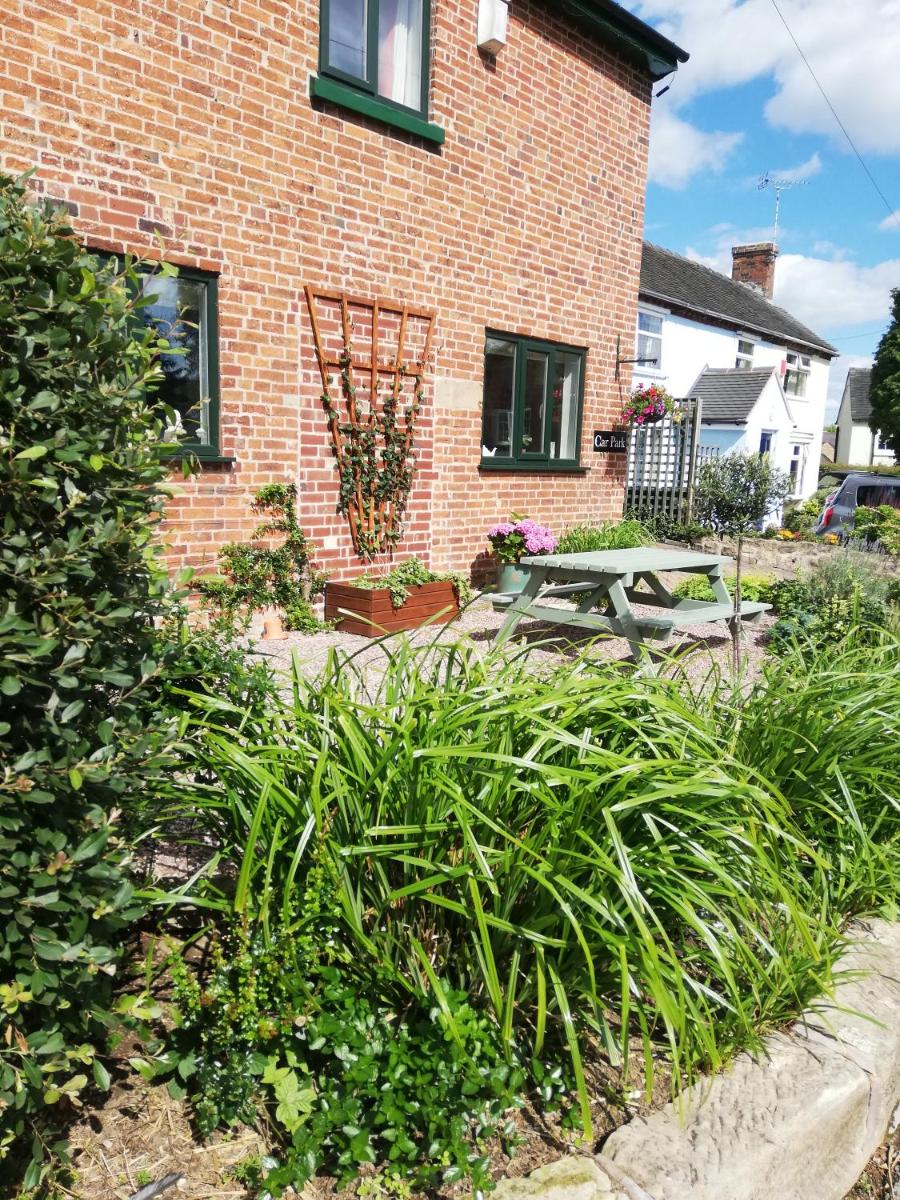 Olive Tree Guest House - Housity