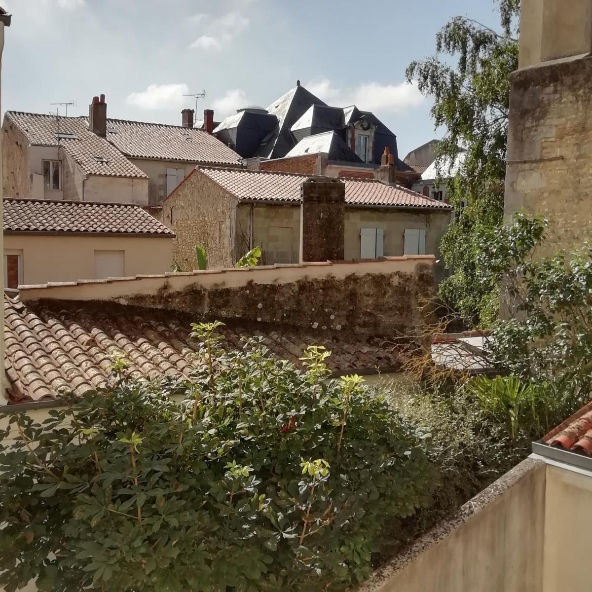 appartement 60m2 dans quartier historique - Housity