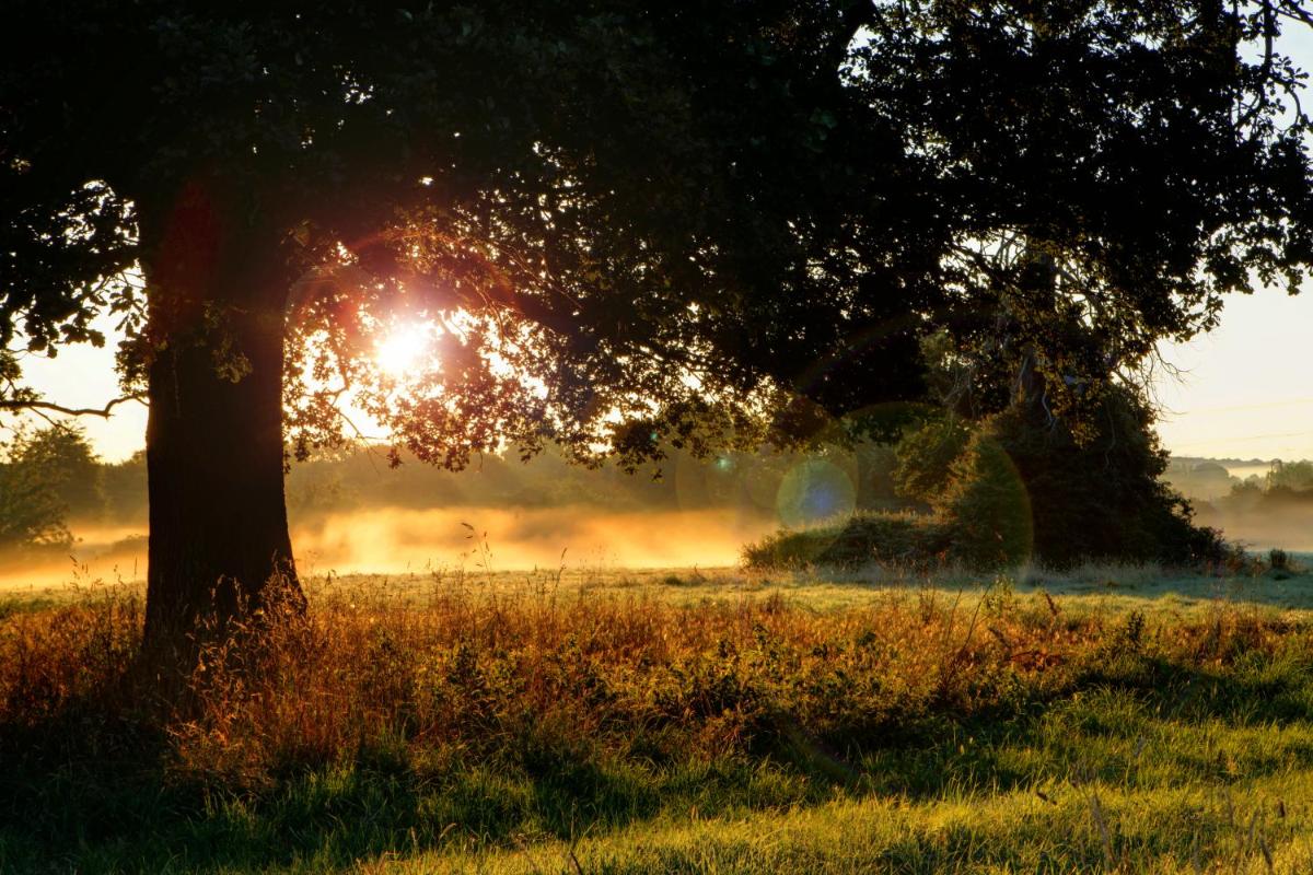 Pontlands Park Hotel - Housity