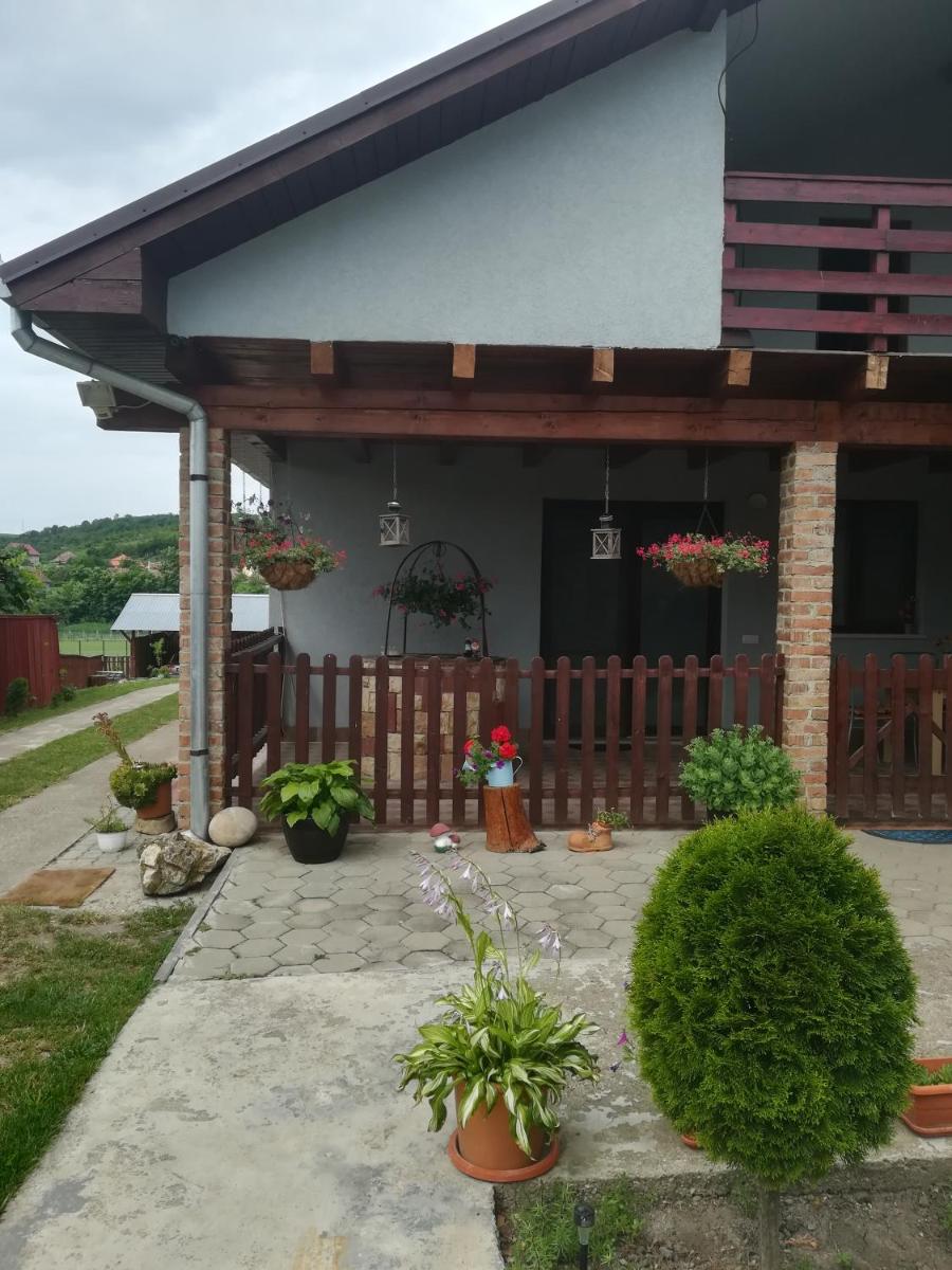 Casa Ricciotti - Housity