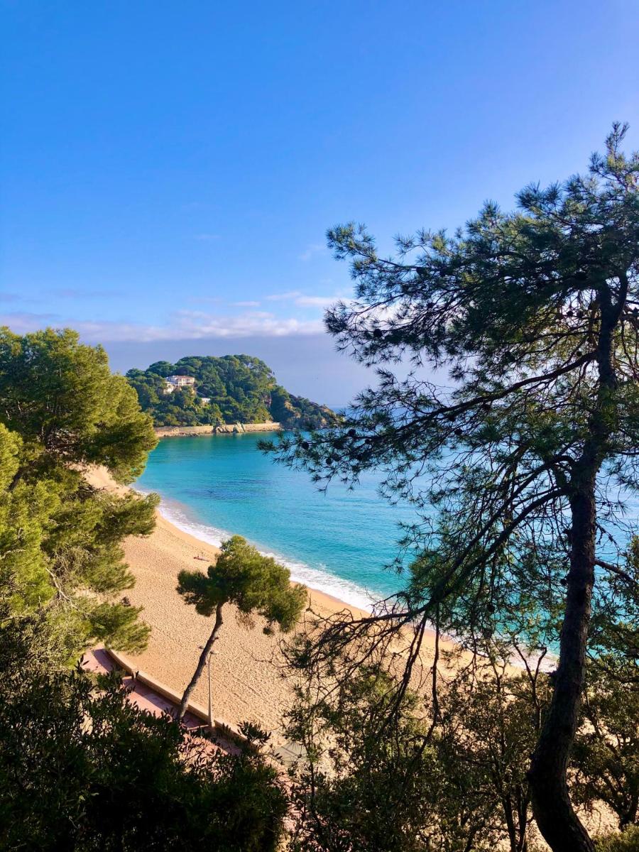 Paisaje cerca de este hotel