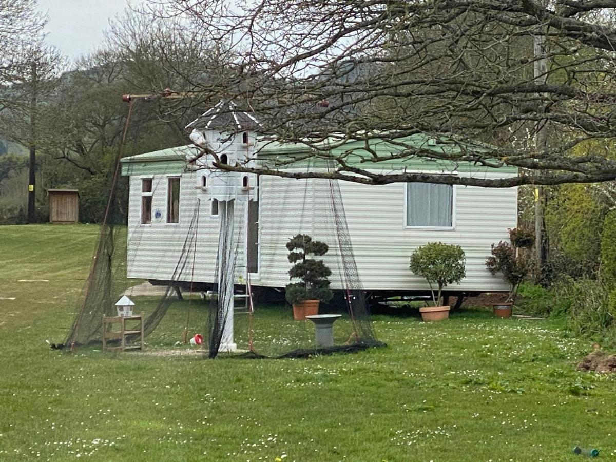Suitetrails - The Nest - Family friendly caravan nr Glastonbury & Street