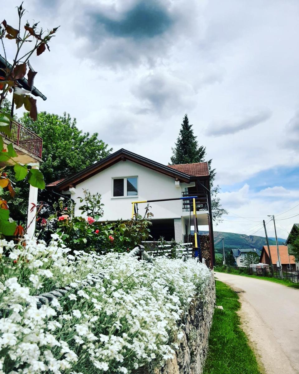 Apartment Prole - Housity