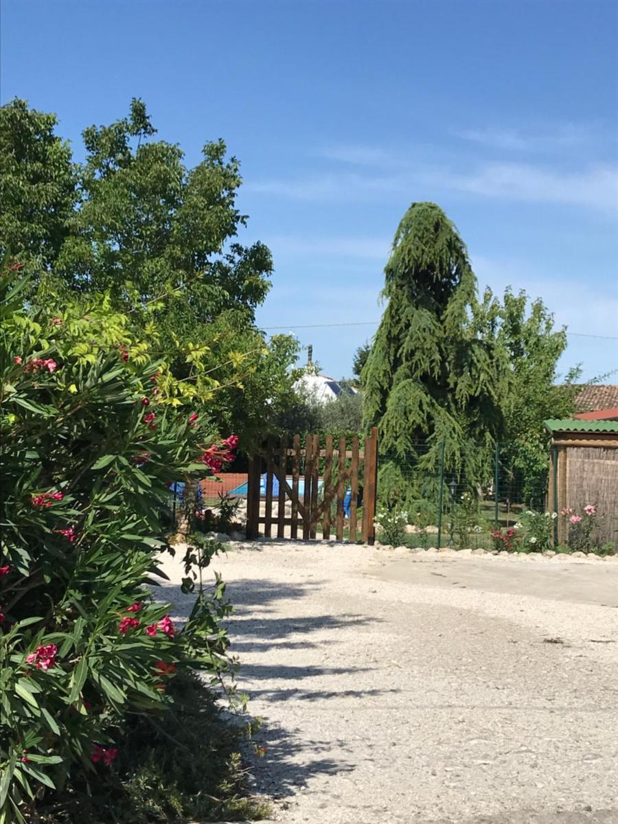 Casa Gavenniae - Housity