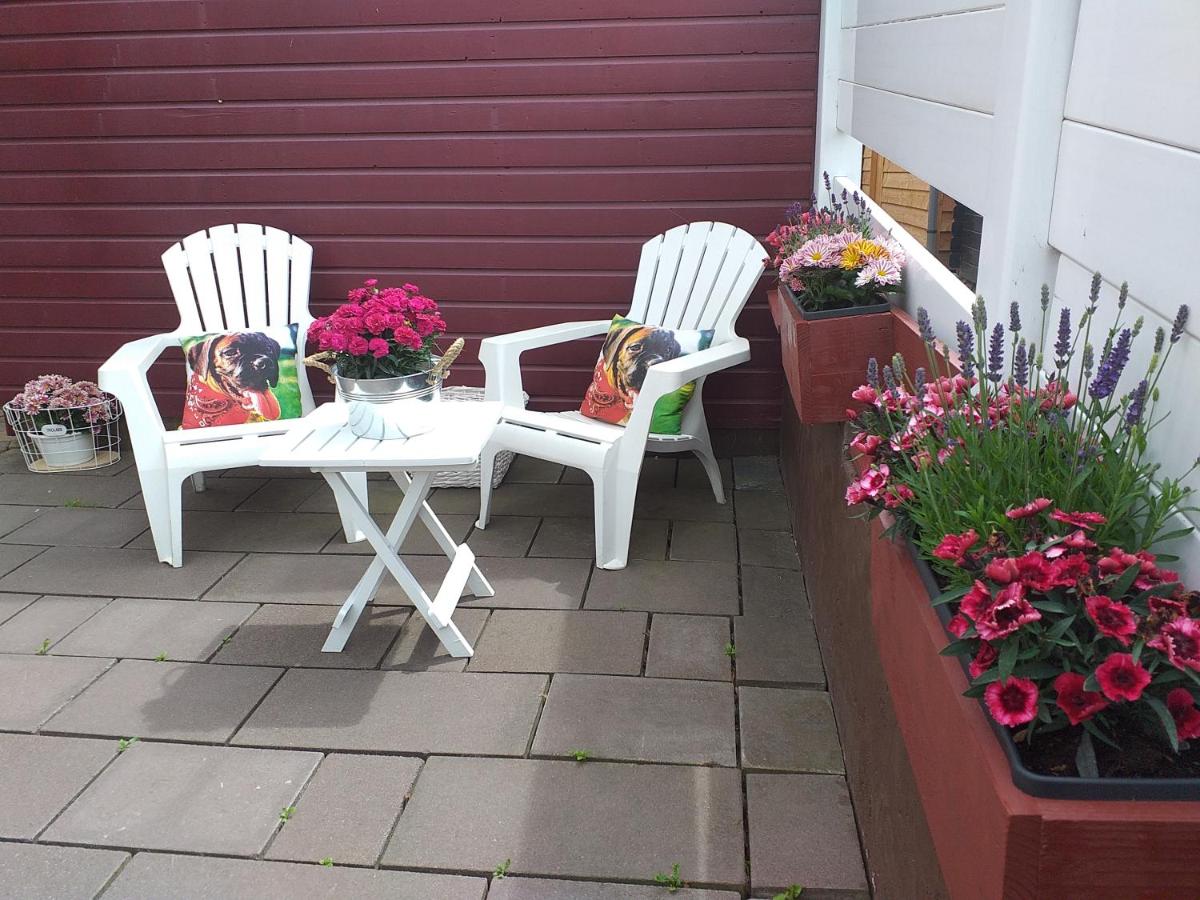SVS Bed & Breakfast - Housity