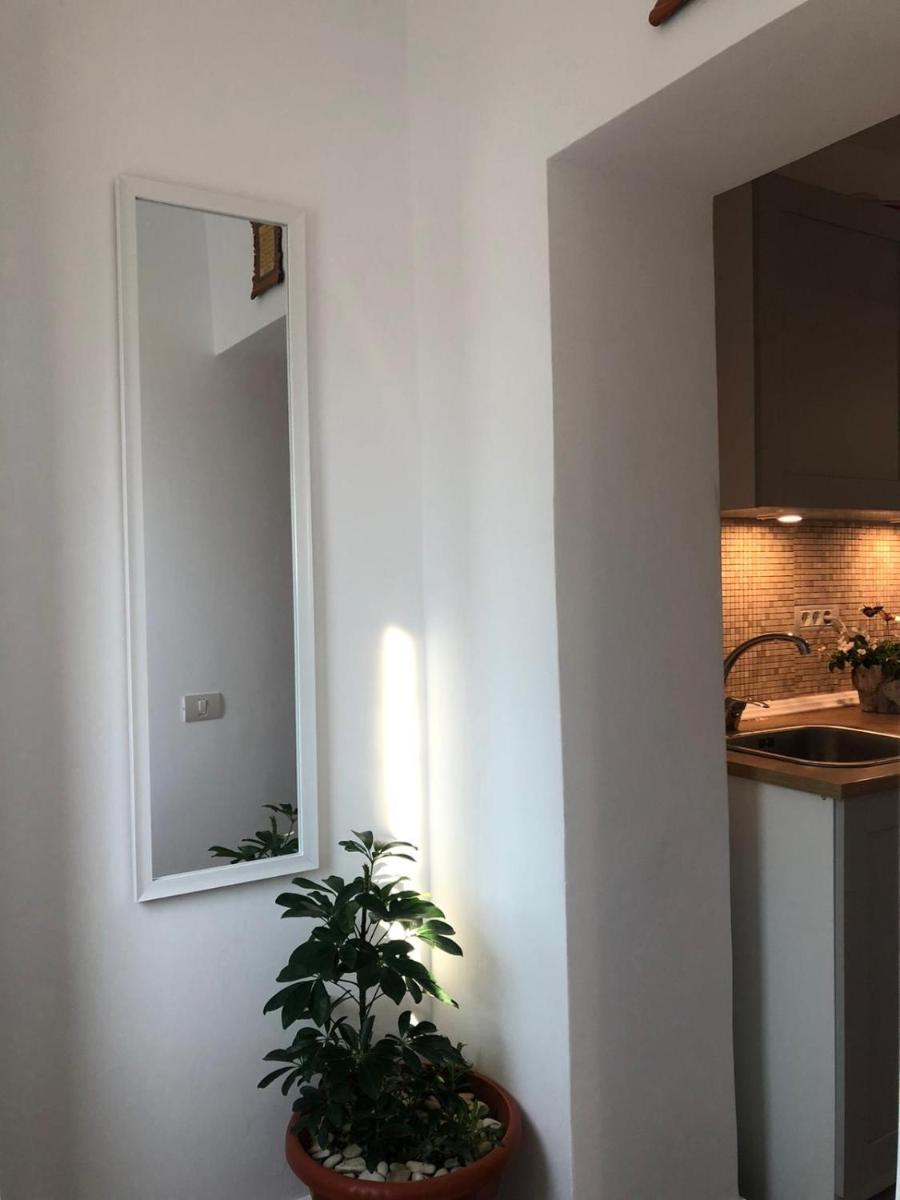 Sea Studio - Hizvo