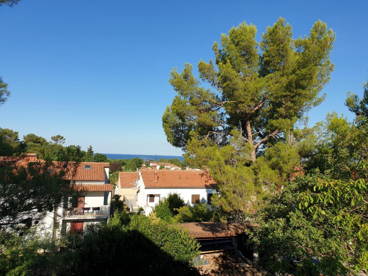 Holiday Apartments Novo Naselje - Housity