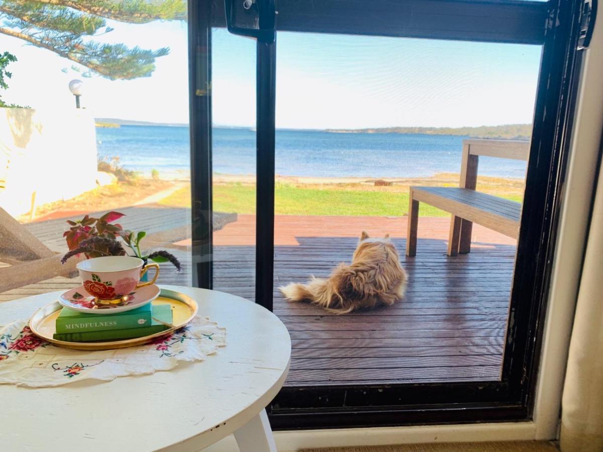 Vandy's shack at Mount Dutton Bay - ideal for couples and small families - Housity