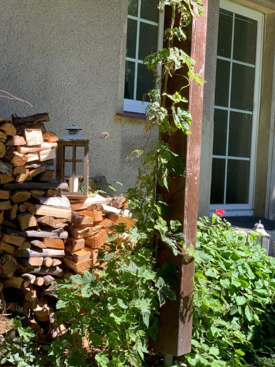 Ferienwohnung Firnhaber - Nieder Seifersdorf Oberlausitz - Housity