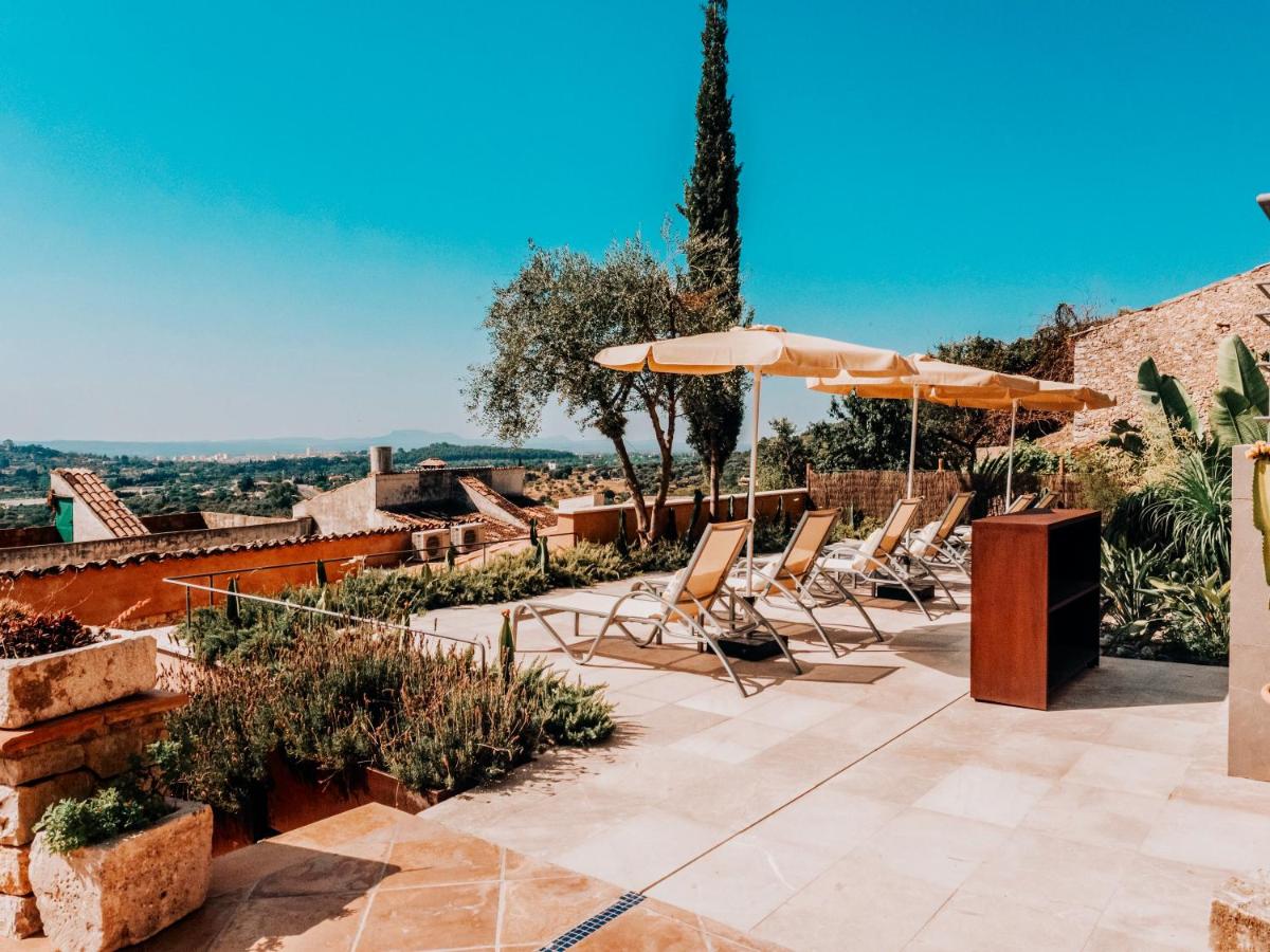 Paisaje cerca de este hotel
