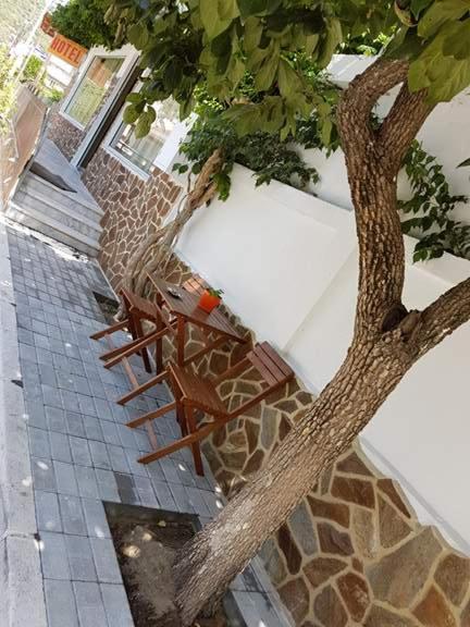 Hotel Paralia - Housity