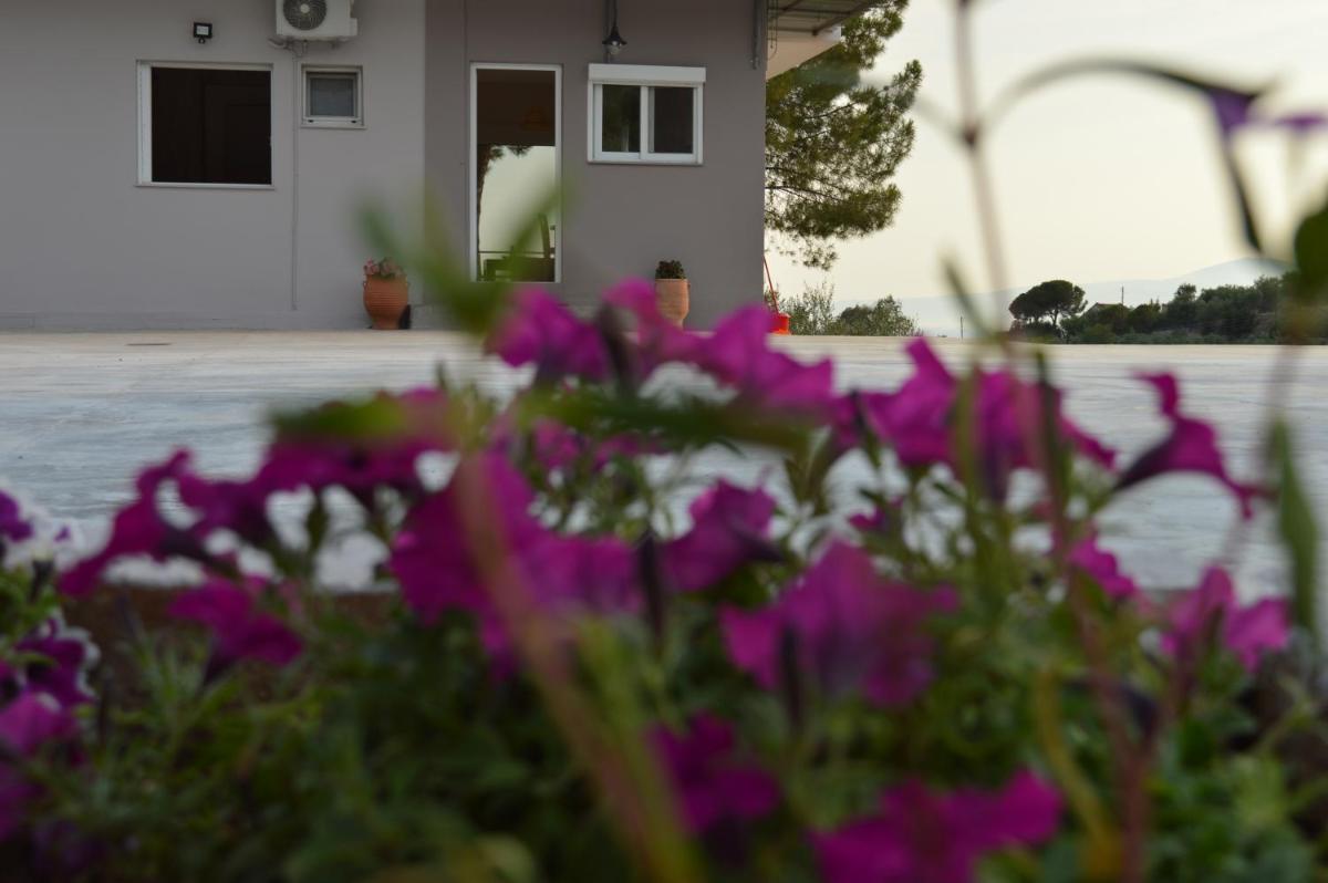 Bilines Home - Housity