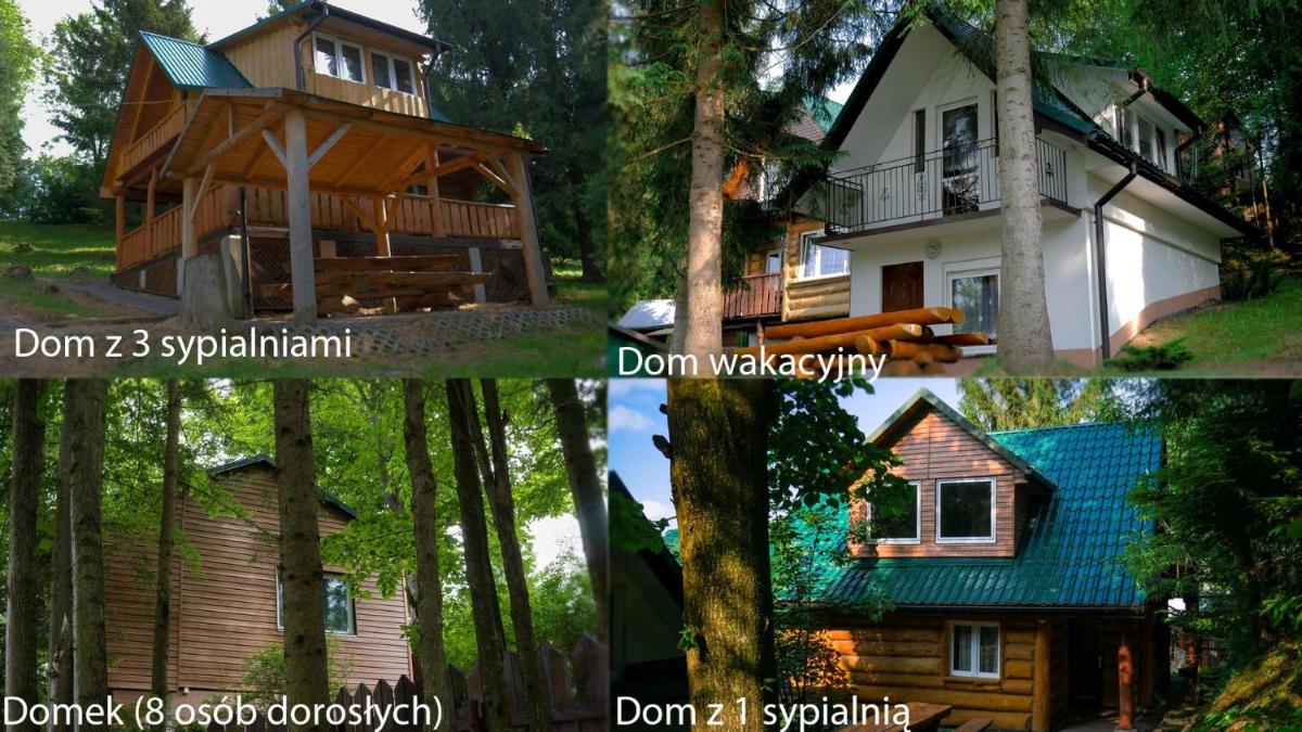 Domki nad Soliną - Housity