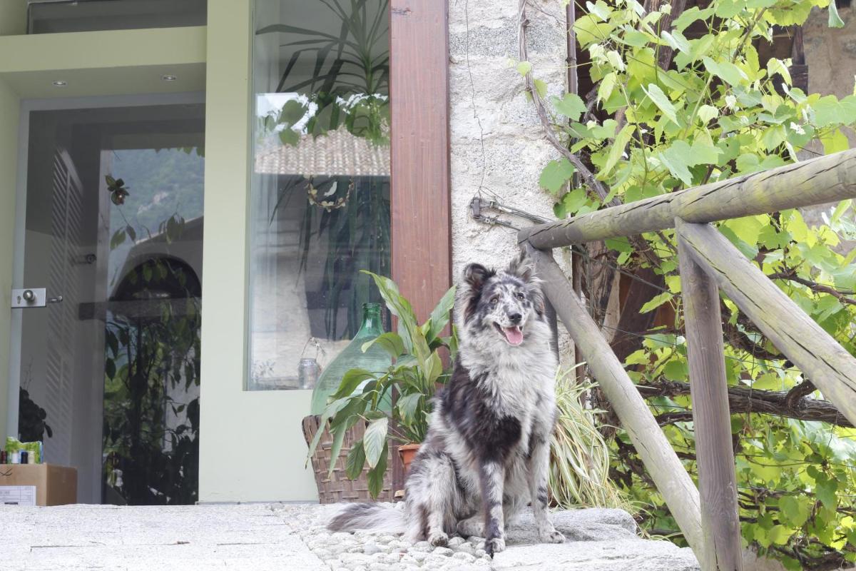 B&B Casa Gori - Housity