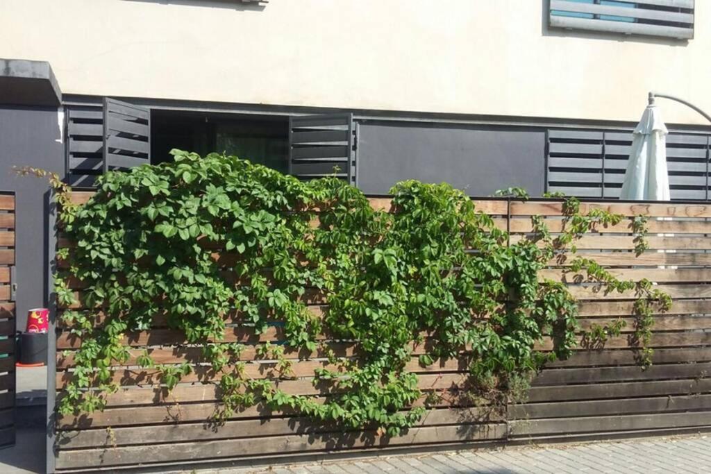BEACH LOFT TERRACE BCN - Housity