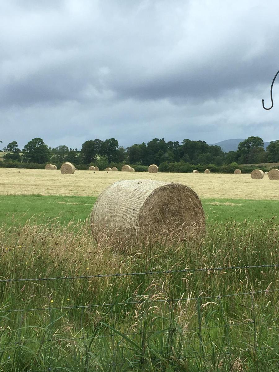 Ardoch Cottage Bed & Breakfast - Housity