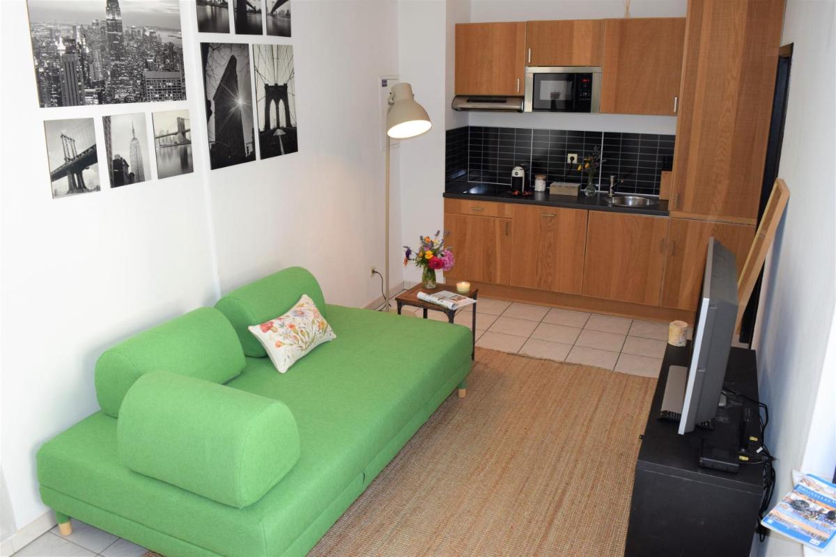 Cosy apartment in the center of Brussels - Hizvo