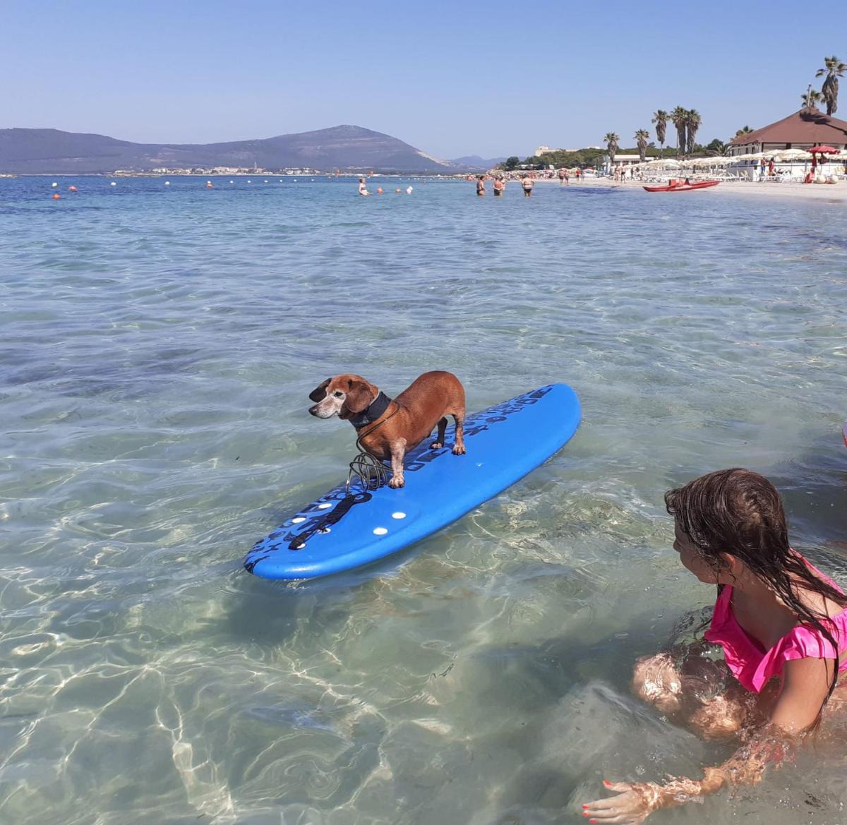Alghero Lido Monolocale - Housity