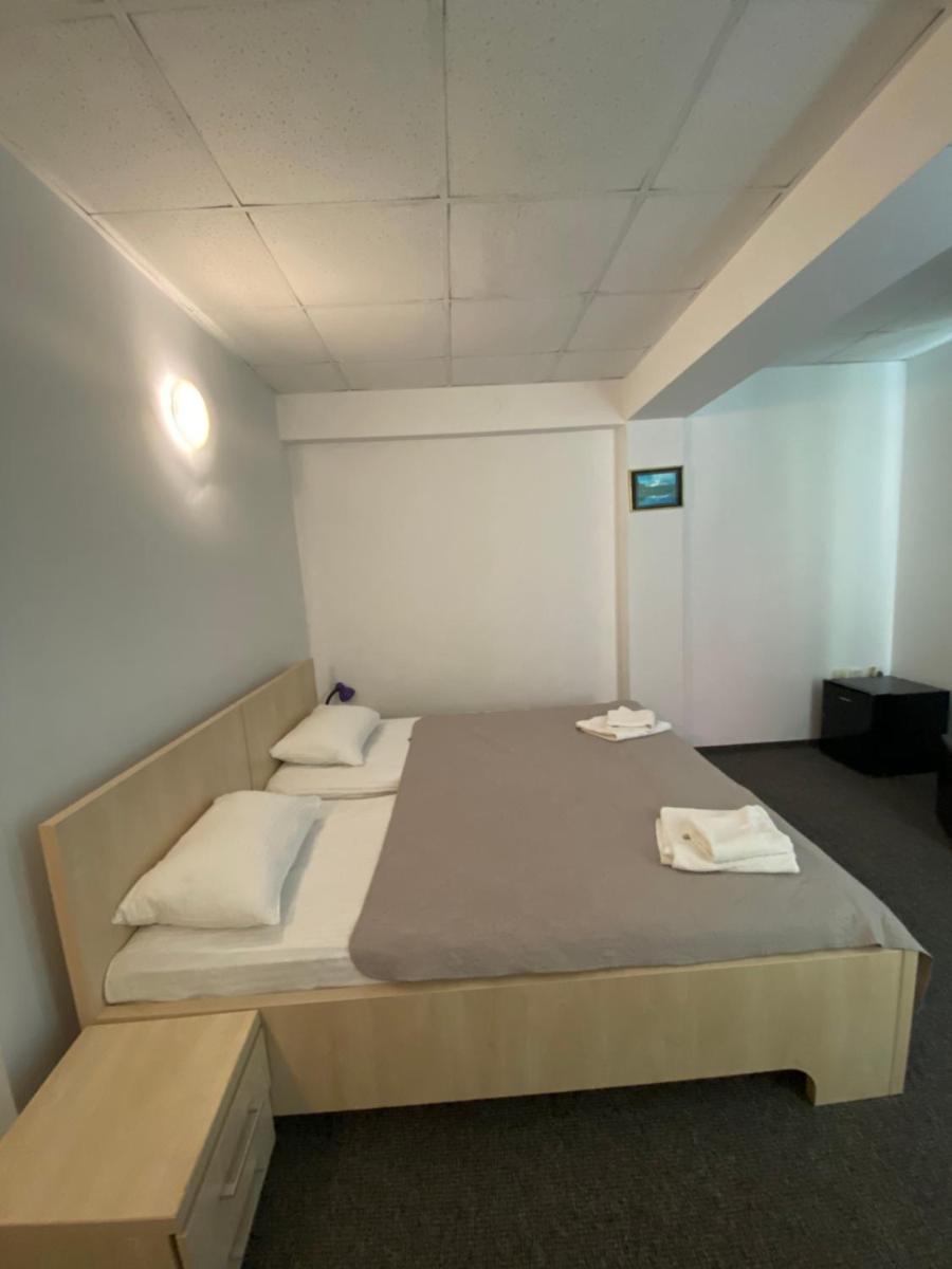 Pensiunea Ambasador - Housity