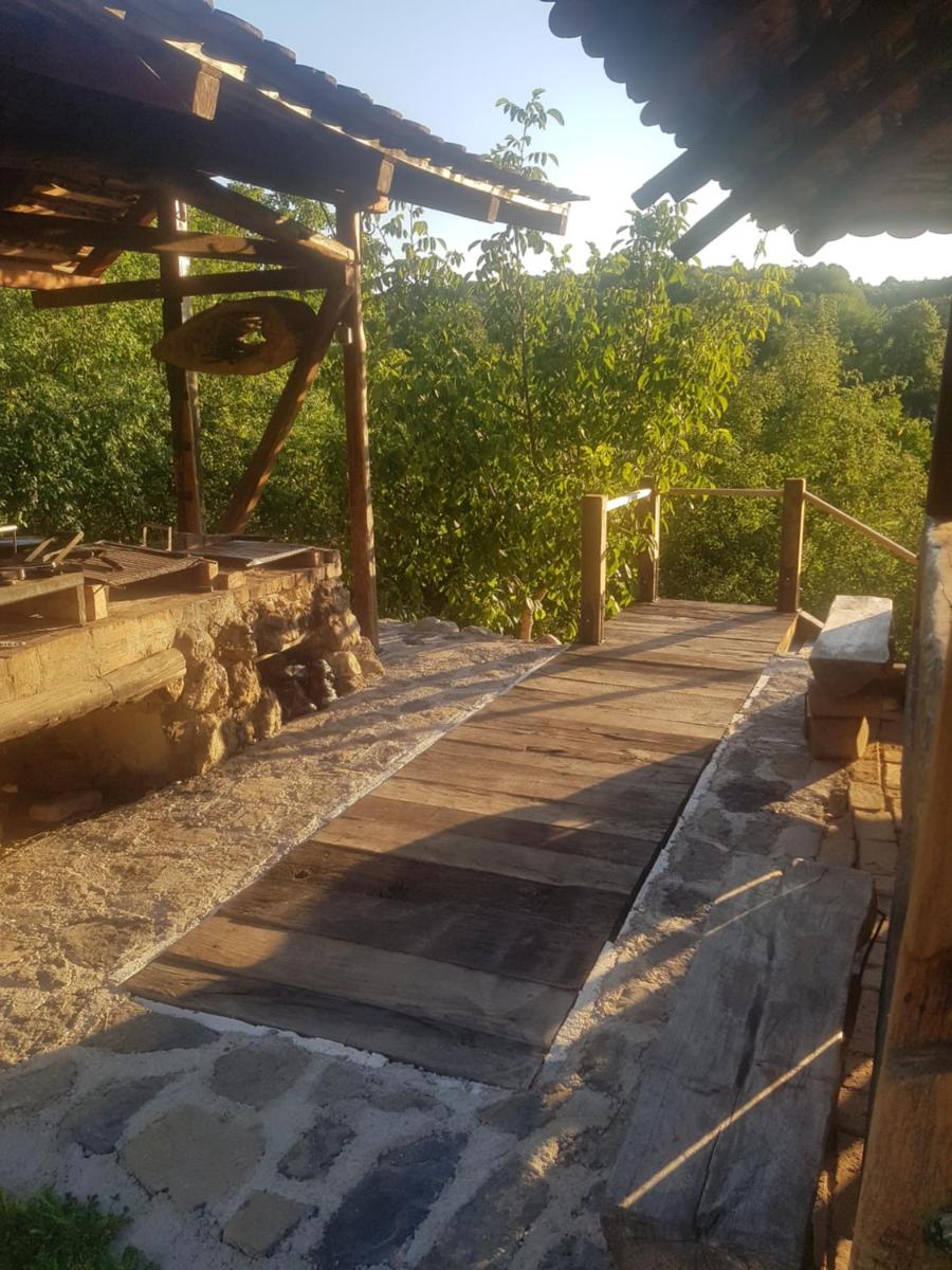 Brandy House Hedonica - Housity