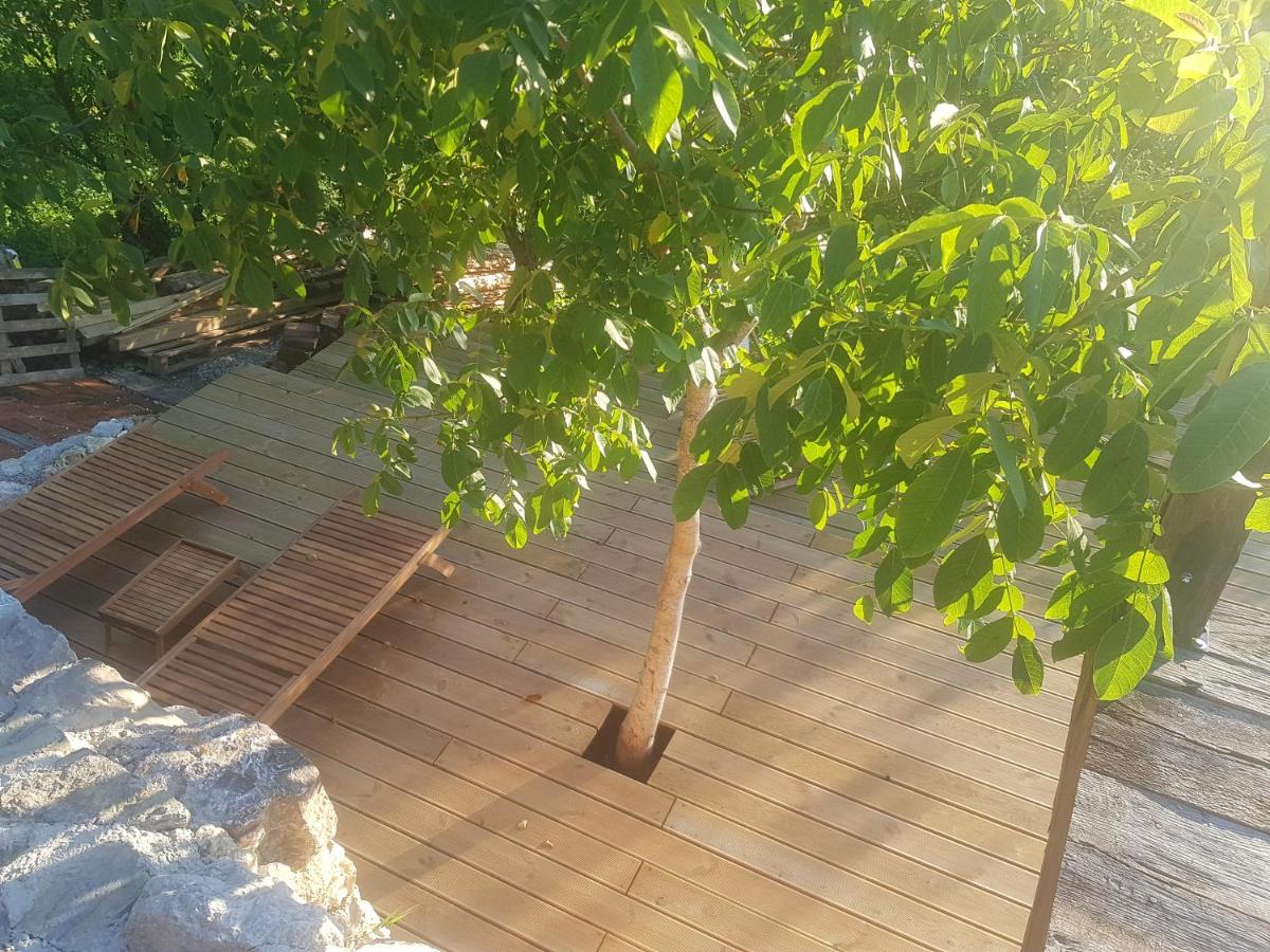 Brandy House Hedonica - Housity