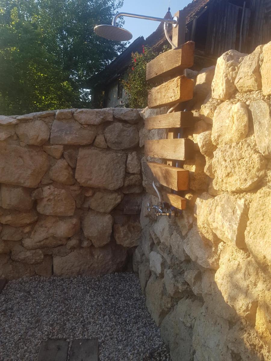 Brandy House Hedonica - Housity