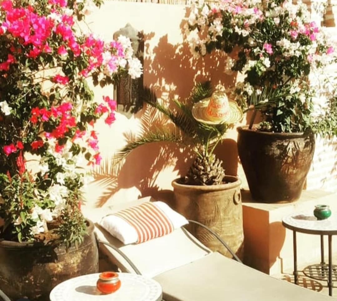 Riad Adriana - Housity