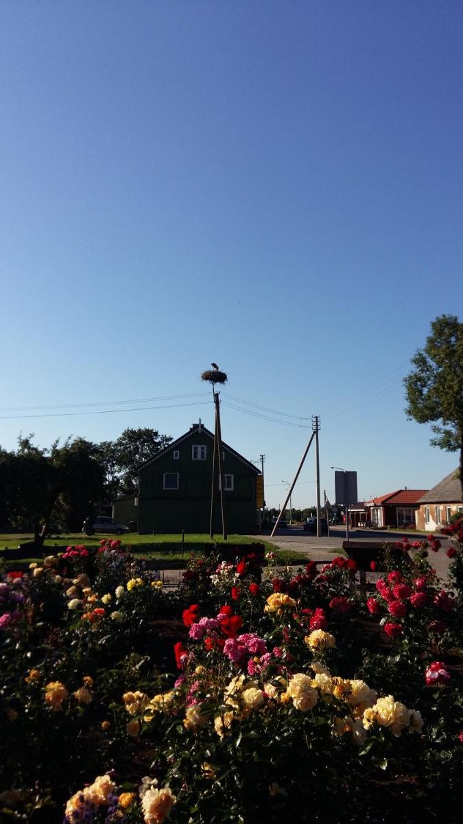 Rusnės Apartamentai - Housity