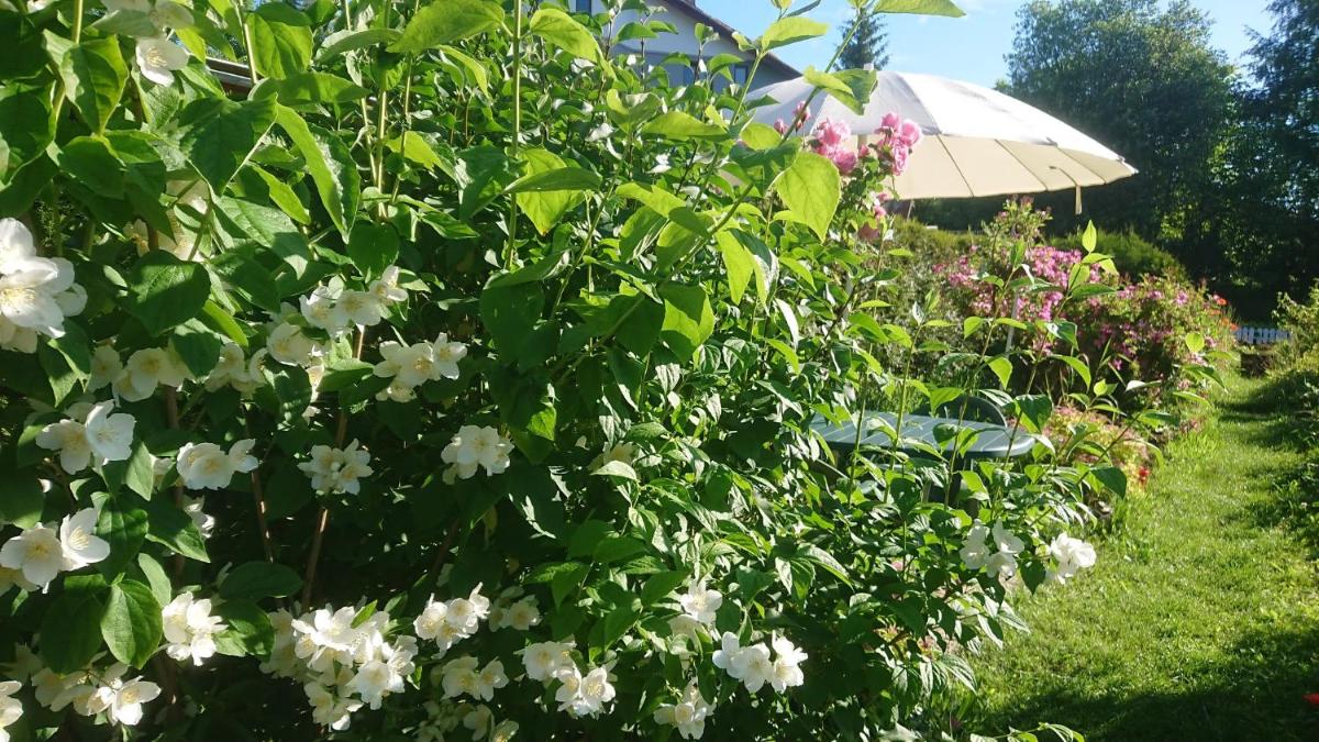 Apartmany u Lipno - Housity