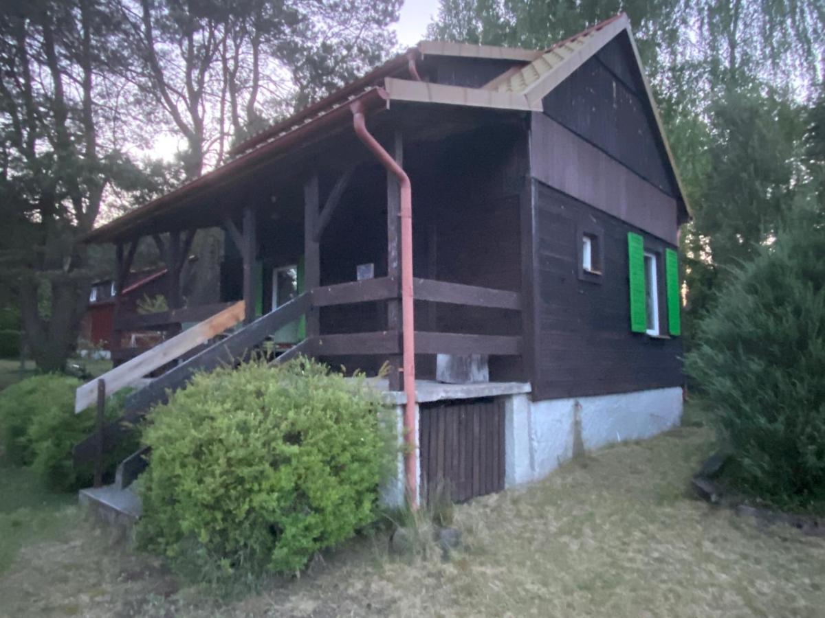 Dom Pod Sosnami - Housity