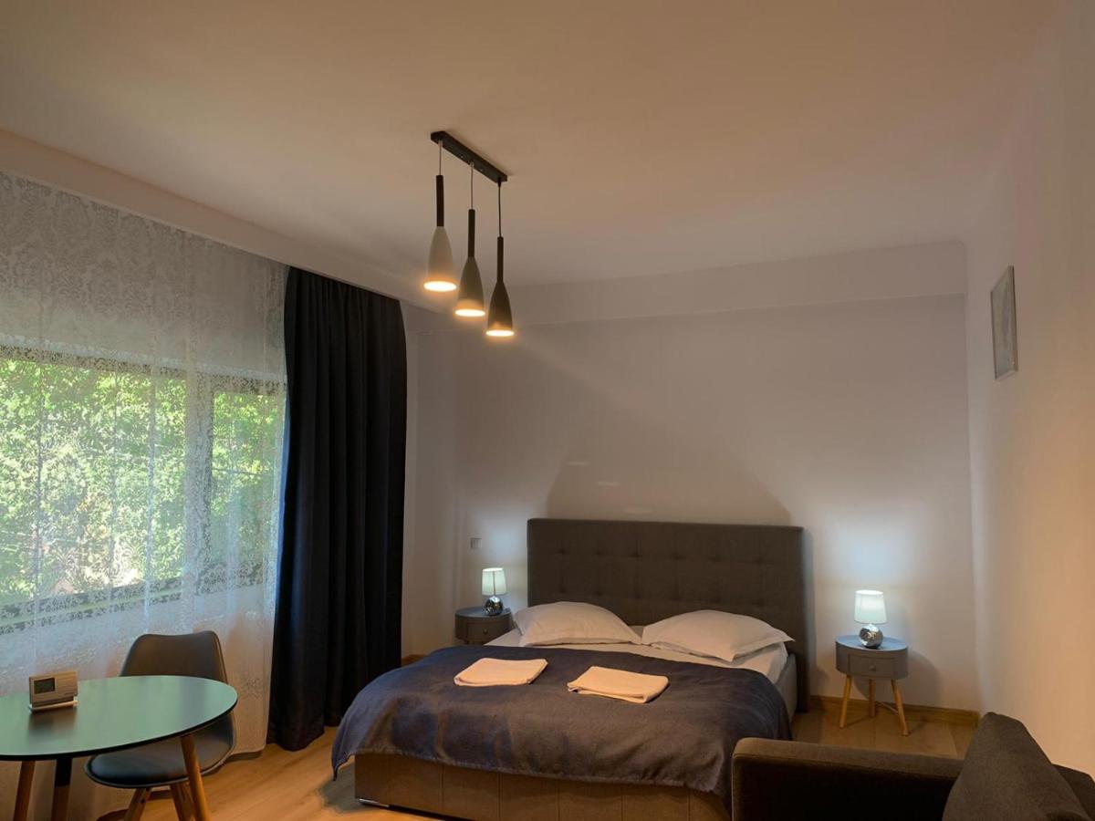 Residence SINAIA Apartments - Hizvo