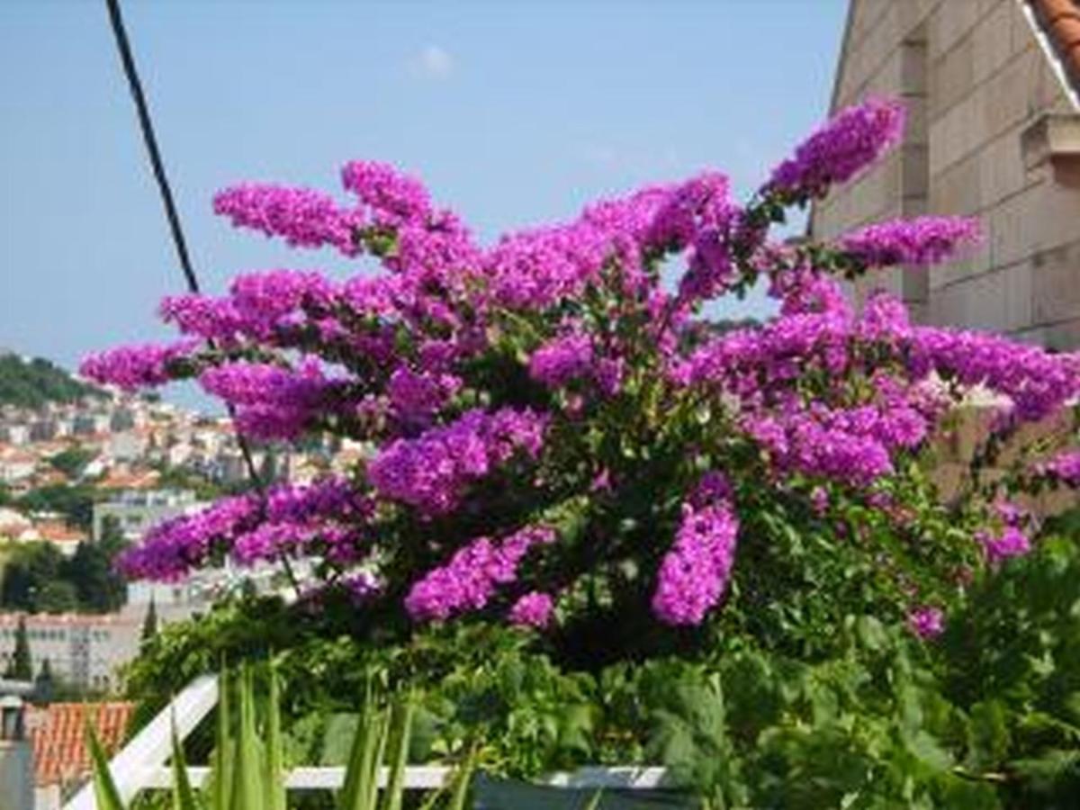 Guesthouse Anna - Housity