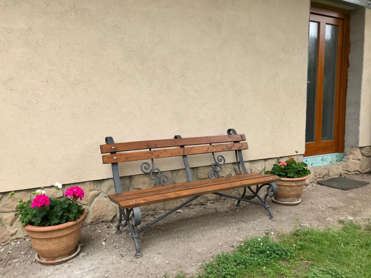 Apartmán U babičky - Housity