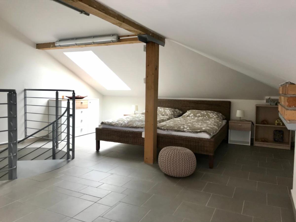 Apartmán U babičky - Housity
