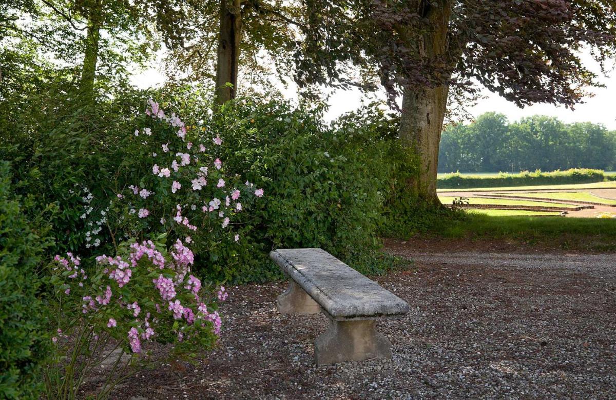 Chateau de Joyeux - Gites - Housity