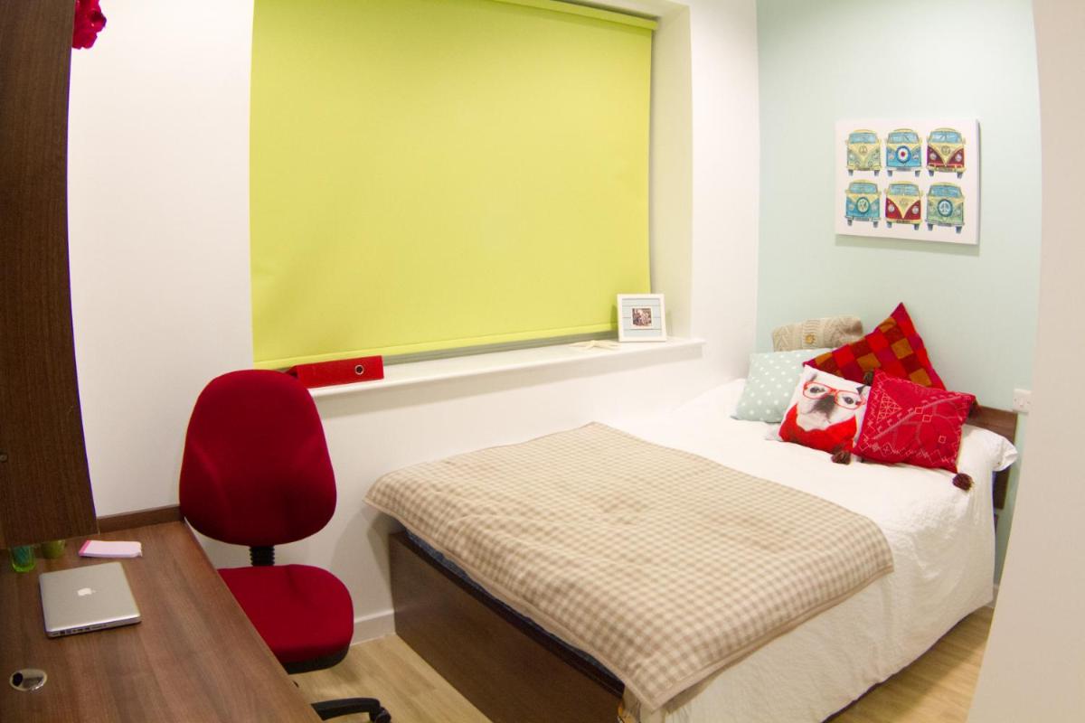 Modern Studios, BANGOR - SK - Housity